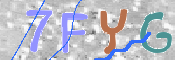 キャプチャ画像
