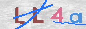 キャプチャ画像