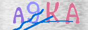 キャプチャ画像