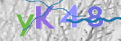 キャプチャ画像
