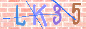 キャプチャ画像