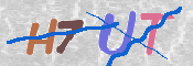 キャプチャ画像