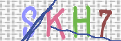 キャプチャ画像