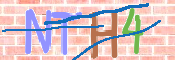 キャプチャ画像