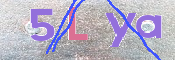 キャプチャ画像